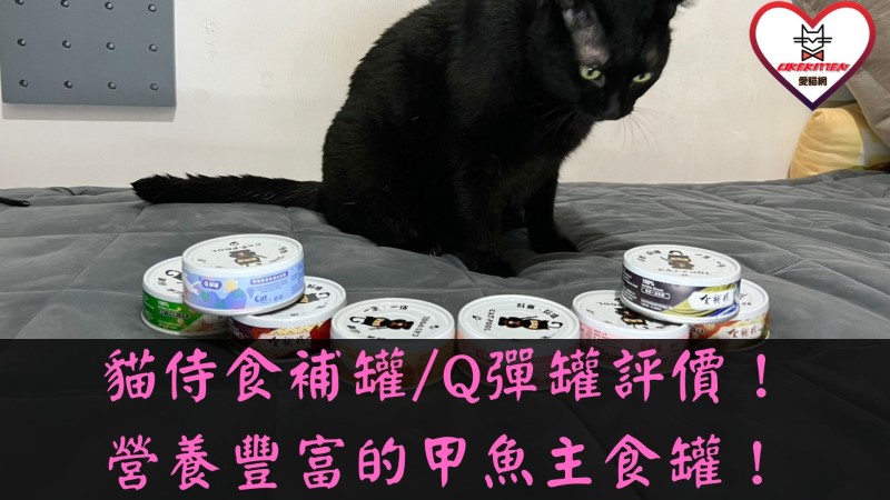貓侍食補罐/Q彈罐評價,甲魚食補主食罐評價,甲魚膠原高湯主食罐評價